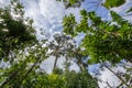 Pure nature at Umphang Wildlife Sanctuary,Tak Province,northwestern Thailand Royalty Free Stock Photo